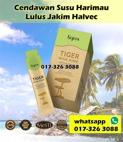 Jamur susu harimau atau cendawan susu harimau adalah salah satu tumbuhan yang langka. Tigrox Tiger Milk King - Minuman Botani Cendawan Susu ...