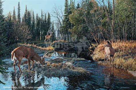 jim kasper handsigned and numbered limited edition print trespassing whitetail deer wild