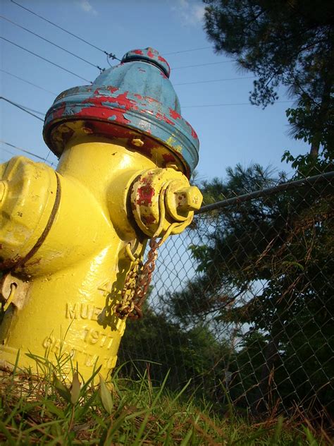 What's next for yellow fire hydrant. Dog's eye view | Yellow fire hydrant at the corner of ...