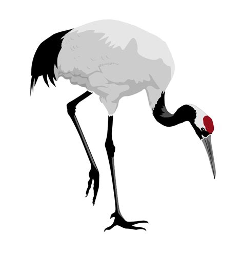 Crane Clipart Free Free Download On Clipartmag