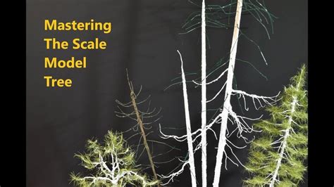 Ho Scale Model Tree Defining Tree Character Part 2 Model Tree