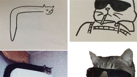 446x599 how to draw a cat cat drawing, cat and draw. 26 Cat Drawing Examples That Are Just So On Point