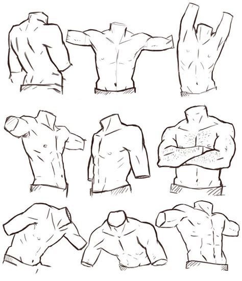 Male Anatomy Drawing Reference Male Torso Drawing Reference And