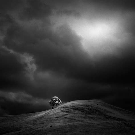 Slices Of Silence Quiet Black And White Infrared Landscapes