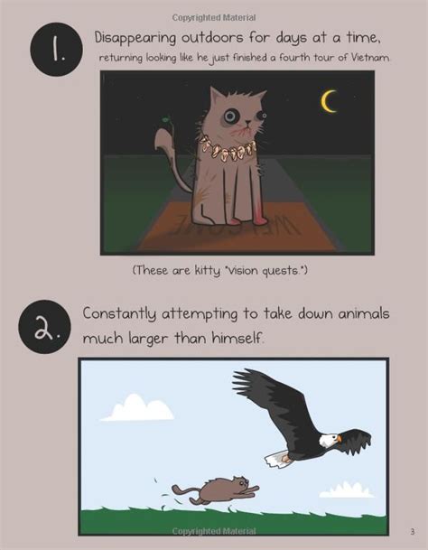 How To Tell If Your Cat Is Plotting To Kill You The Oatmeal Matthew
