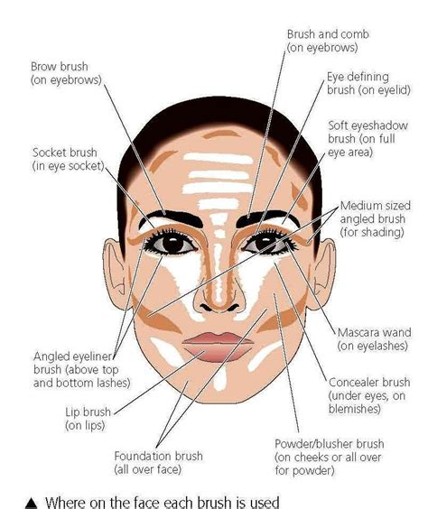 Step By Step Contour Face Chart