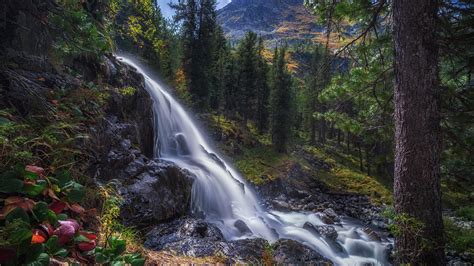 Russia Forest And Waterfall Around Trees Hd Nature Wallpapers Hd