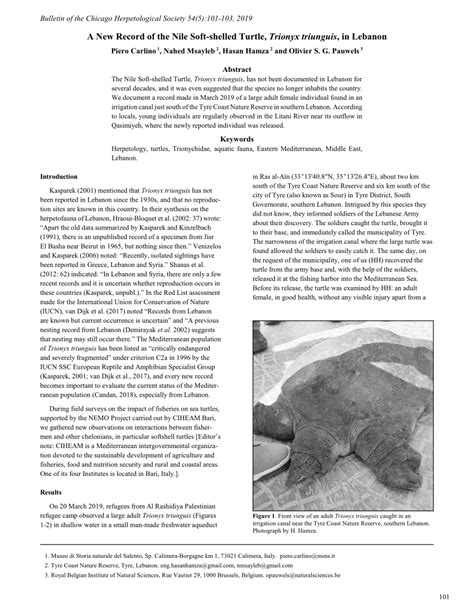PDF A New Record Of The Nile Soft Shelled Turtle Trionyx Triunguis