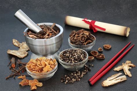 ancient traditional chinese herbal plant medicine stock image image of medical formula 267140921