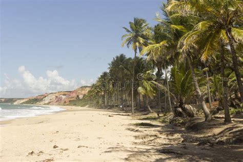 Praia De Coqueirinho PB De Conde Brasil Imagem De Stock Imagem De Tropical Preservado