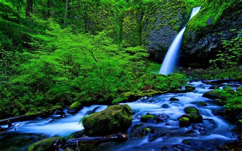 Waterfall And Stream In Green Forest