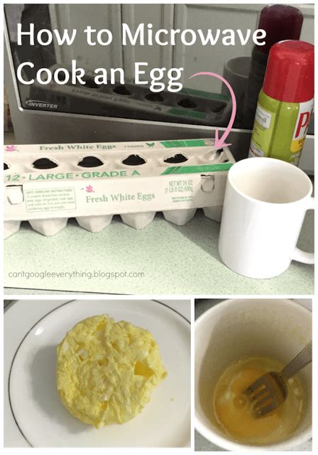 How To Cook An Egg In The Microwave My Mini Adventurer
