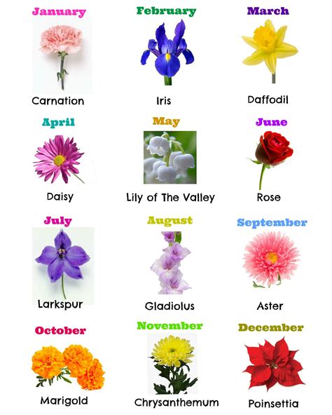 Birth Flowers For Each Month Chart