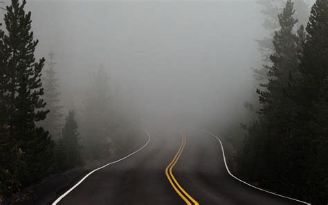 Download Wallpaper 3840x2400 Road Fog Marking Asphalt Turn Trees