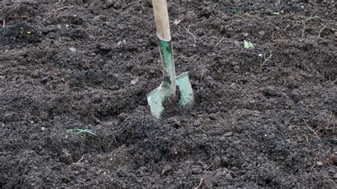 Das macht die bedienung einfacher, obwohl. Garten umgraben: So geht's richtig - WELT