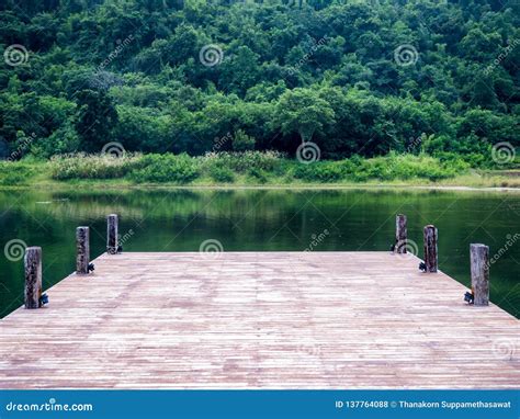 View Of Lake From Dock With Trees In Background Stock Photo Image Of