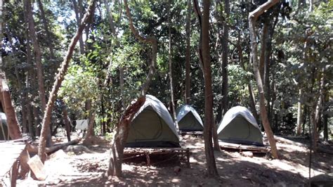 Rainforest Camping Perhentian Island Malaysia Camping