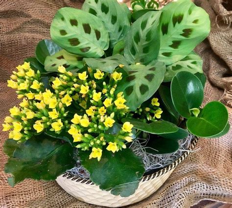 Maybe you would like to learn more about one of these? 15 Best Florists for Flower Delivery in Jersey City ...