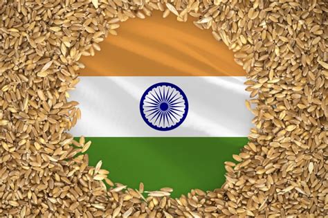India Expanding Grain Storage Capacity World Grain