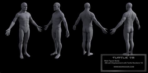 Human Male Sculpt Zbrushcentral