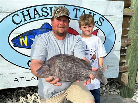 State Certifies White Grunt As New State Record Obx Today