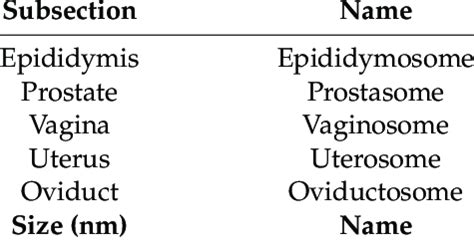 Classification Of Extracellular Vesicles Evs According To Their