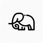 Elephant Icon Animal Icons Animals