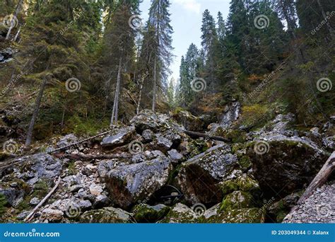 Huge Mossy Boulders On Mountain Stock Photo Image Of Environmental