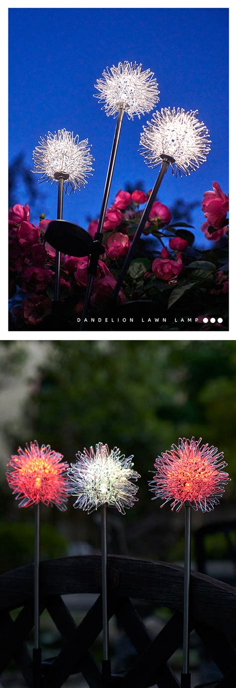 Dandelion Garden Lights 2 Pcs Solar Powered Warm Light Colorful