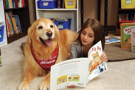 Young Readers Practice Reading Aloud To Therapy Dogs Wjbc Am 1230