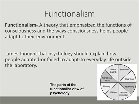 Ppt Introduction And History Of Psychology Unit 1 Powerpoint