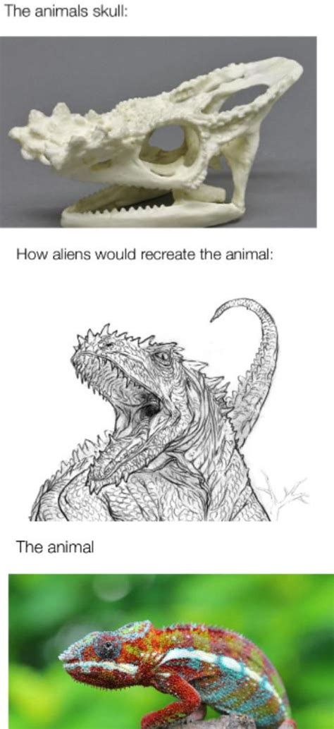 People Compare How Aliens Would Reconstruct Animals Based On Their