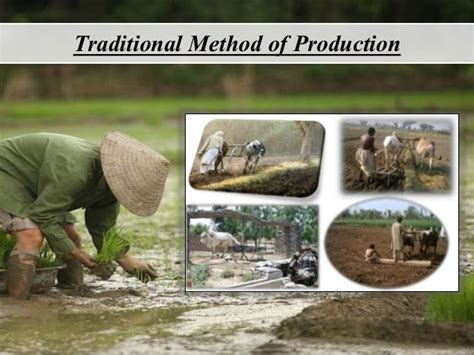 Traditional And Modern Agriculture