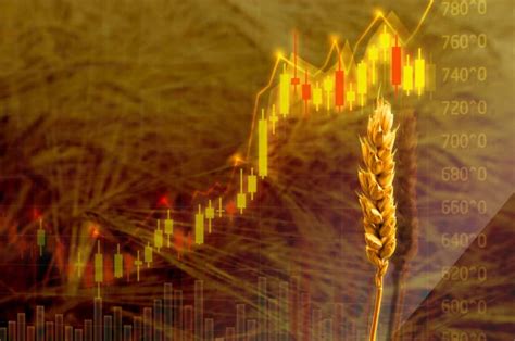Collapse Of Black Sea Grain Initiative Will Affect Food Prices But African Countries Had Already