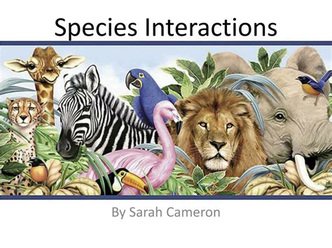 Ppt Species Interactions Powerpoint Presentation Free Download Id
