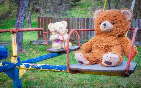 teddy bear park stuffed free photo on pixabay pixabay
