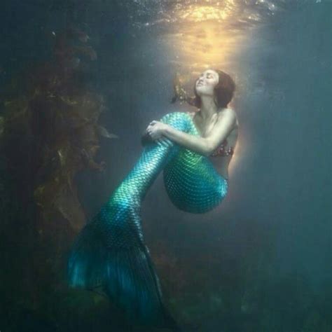 Mermaid Man Siren Mermaid Mermaid Cove Mermaid Fairy Mermaid Dreams