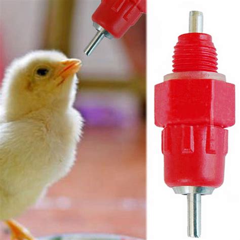 10pcs Poultry Water Drinking Nipples Duck Chicken Hen Feeding Screw In