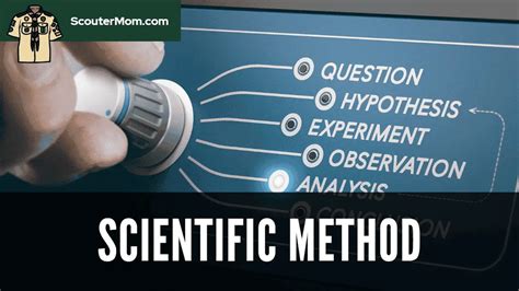 A Simple Explanation Of The Scientific Method In 6 Easy Steps