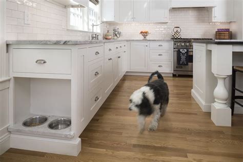 Related Image Kitchen Remodel Kitchen Storage Solutions Dog Dish