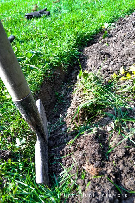 Get A Full Flowerbed With Less Plus Other Garden Cheater Tipsfunky