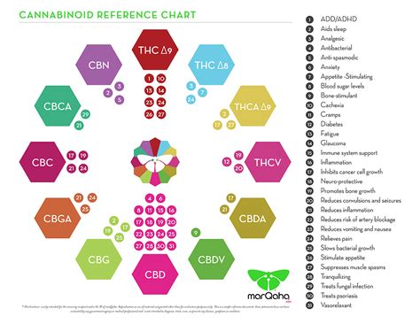 Cannabinoid Chart Cbd Oil New Daily