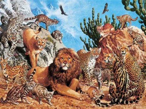 Big cats explores the lives of wild lions, tigers, jaguars, and more. What Type Of Big Cat Are You? | Playbuzz