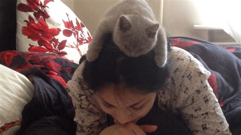 Girl Reads With Kitten On Her Head Youtube