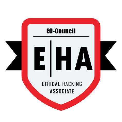 Ethical Hacking Courses Certified Hacking Courses School Of It