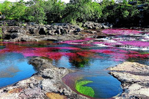 Check spelling or type a new query. Caño Cristales, el río de colores de Colombia | Caño ...