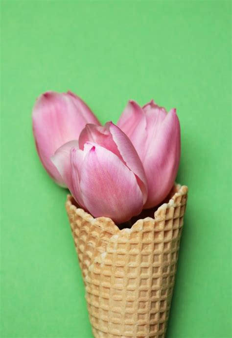 Kostenlose Foto Blütenblatt Lebensmittel Frühling Farbe Bunt