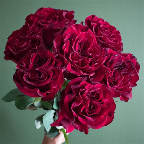Home Rose Varieties Rose Wedding Flowers