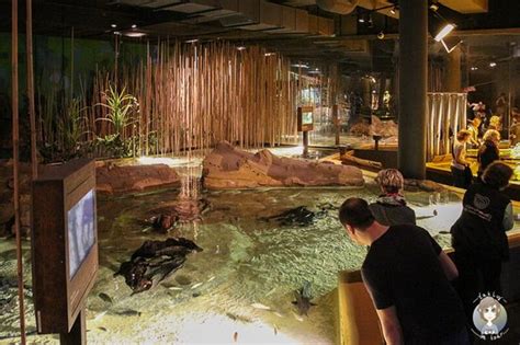 Besuchen sie die seestadt bremerhaven und das klimahaus. Klimahaus Bremerhaven 8° Ost - 2021 All You Need to Know ...