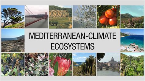 video shaping life the geology of mediterranean climate ecosystems uctv university of